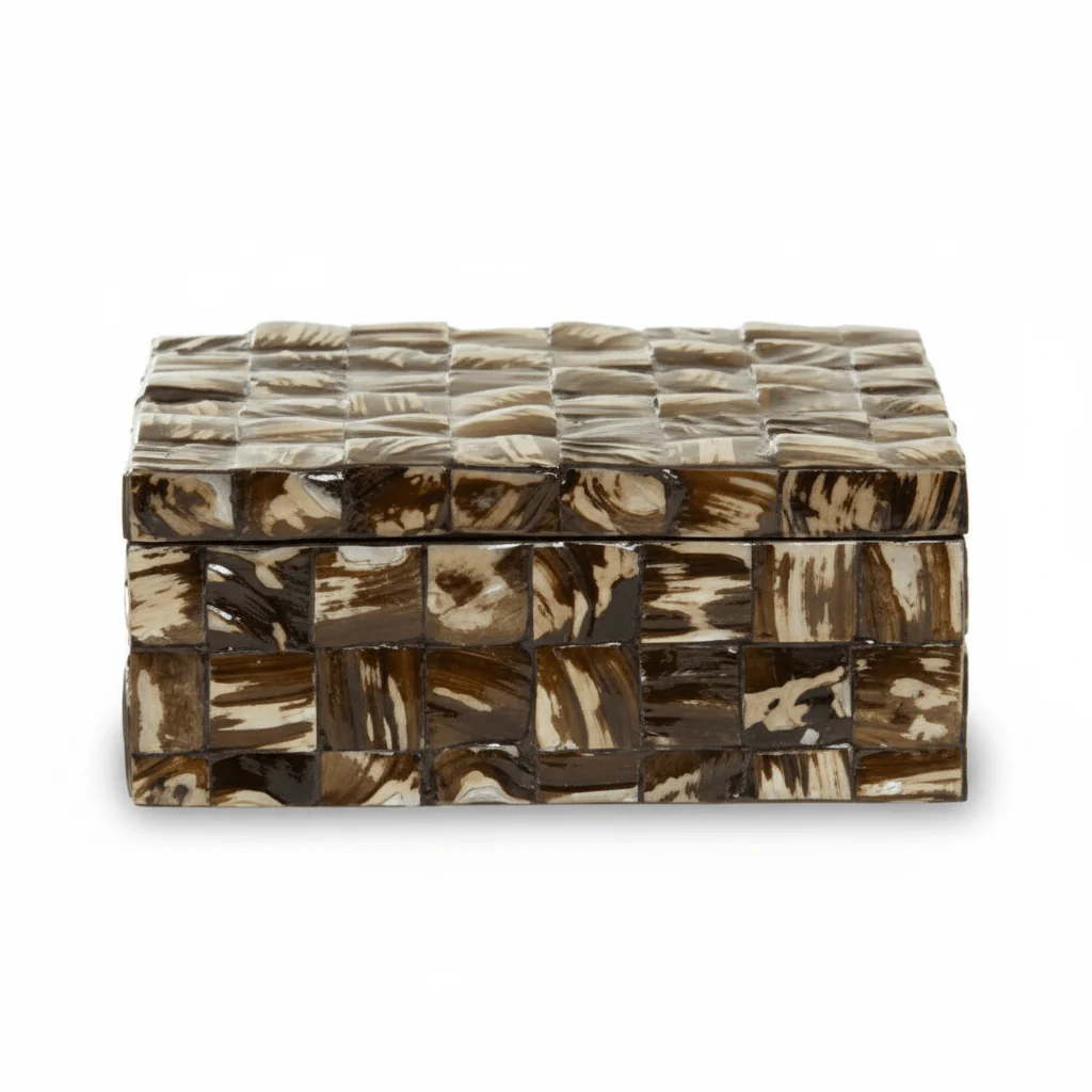 Branna Large Natural Shell Detail Box