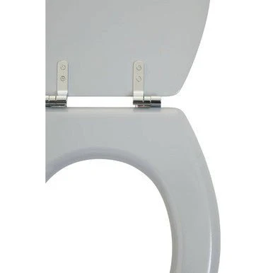 Brooks Matte Grey Toilet Seat - Image 7