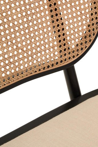 Cebu Natural Cane Bench with Black Elm Wood Frame - Image 10