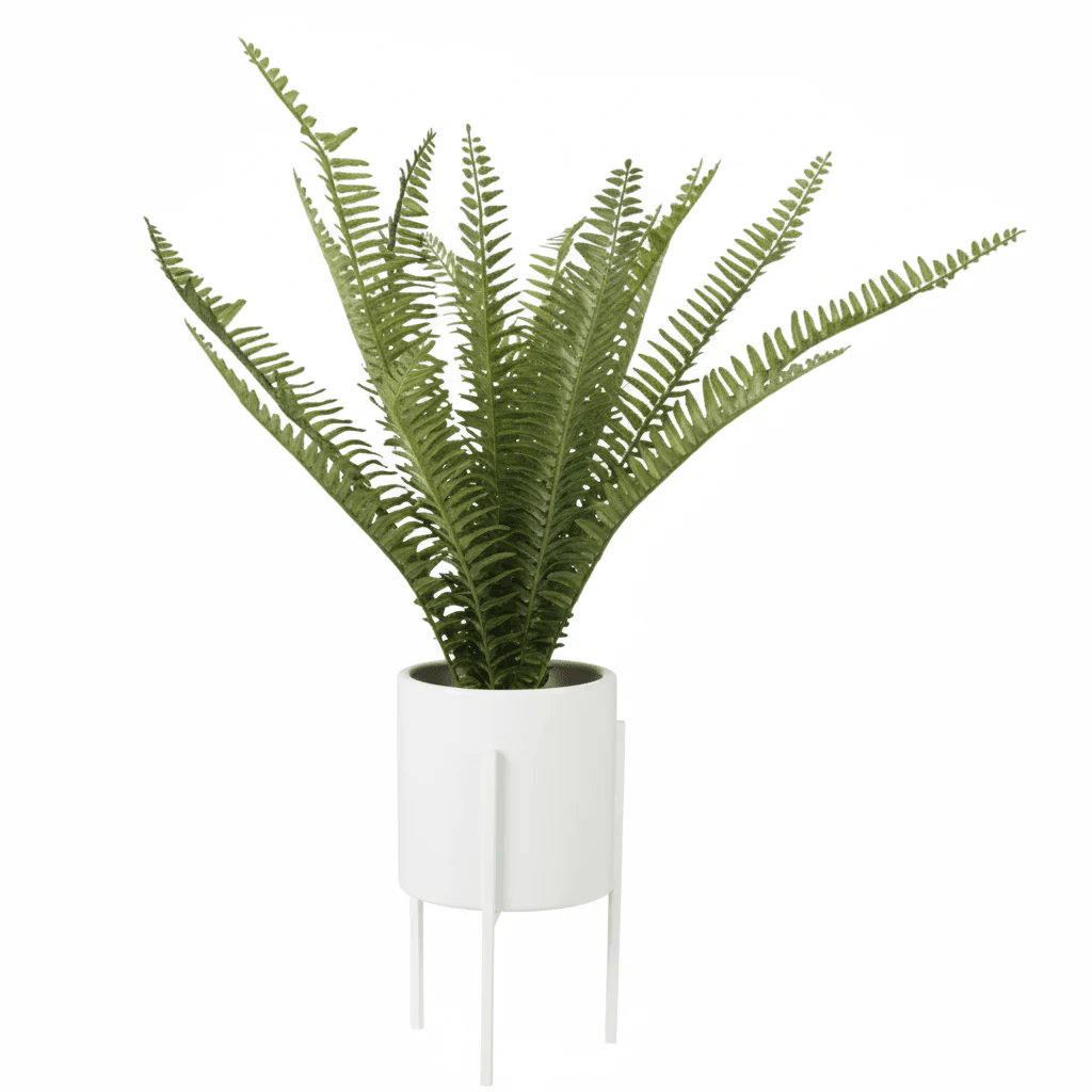 Fiori Fern In White Ceramic Pot With Iron Stand - Image 10