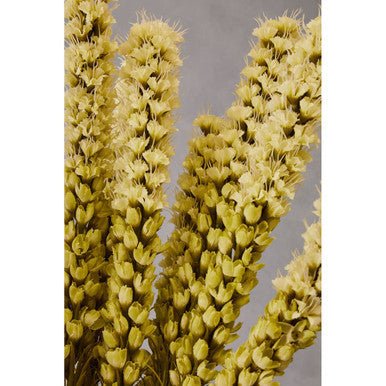 Fiori Grey Feather Stem - Image 10
