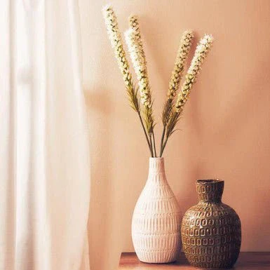 Fiori Grey Feather Stem - Image 11