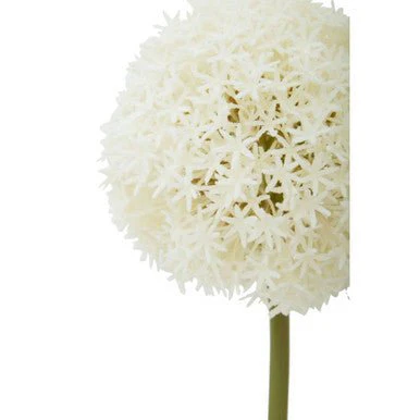 Fiori Ivory Faux Allium Stem - Image 10