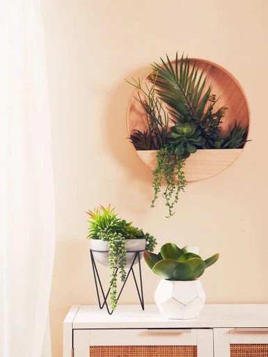 Fiori Mixed Succulent with Metal Stand - Image 11