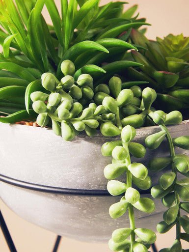 Fiori Mixed Succulent with Metal Stand - Image 12