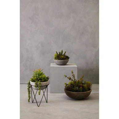 Fiori Mixed Succulent with Metal Stand - Image 14