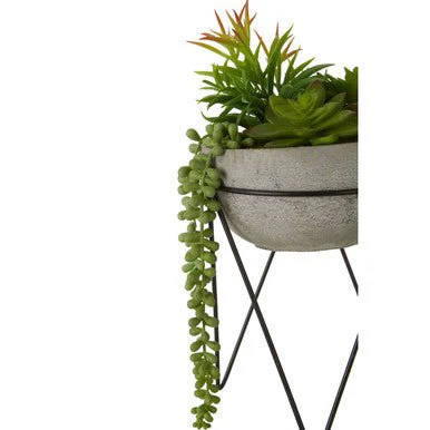 Fiori Mixed Succulent with Metal Stand - Image 15
