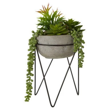 Fiori Mixed Succulent with Metal Stand - Image 16