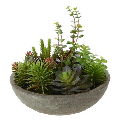 Fiori Mixed Succulent With Stone Effect Pot - Image 10