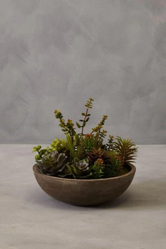 Fiori Mixed Succulent With Stone Effect Pot - Image 13
