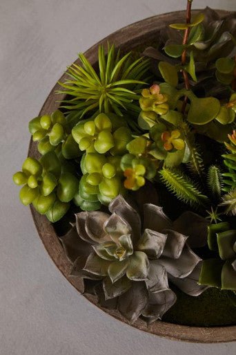 Fiori Mixed Succulent With Stone Effect Pot - Image 14