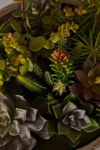 Fiori Mixed Succulent With Stone Effect Pot - Image 15