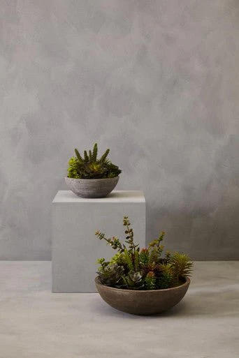 Fiori Mixed Succulent With Stone Effect Pot - Image 16