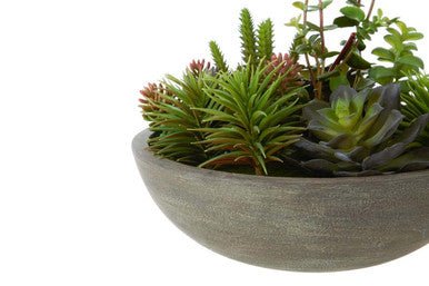 Fiori Mixed Succulent With Stone Effect Pot - Image 17