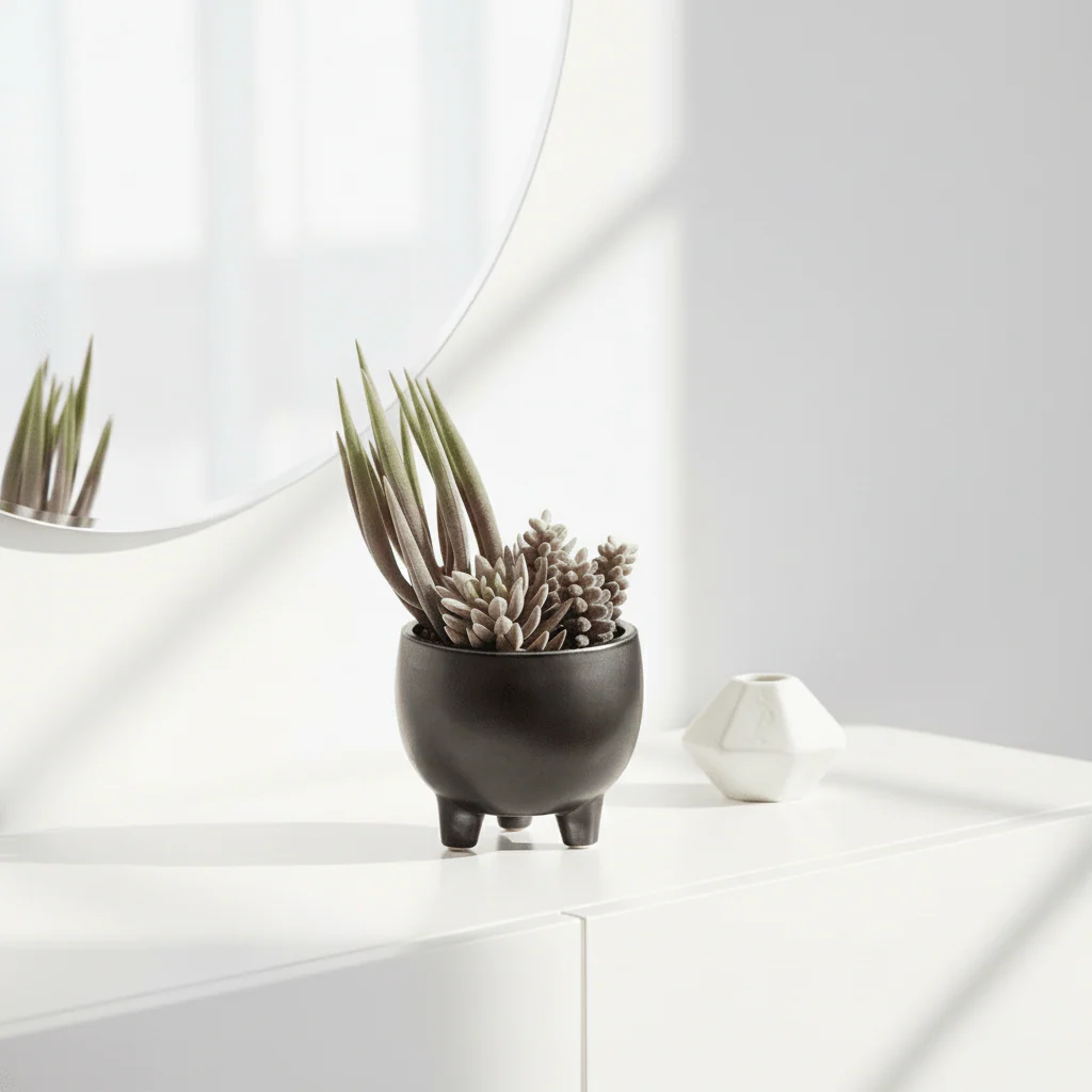 Fiori Mixed Succulents In Ceramic Pot - Image 11