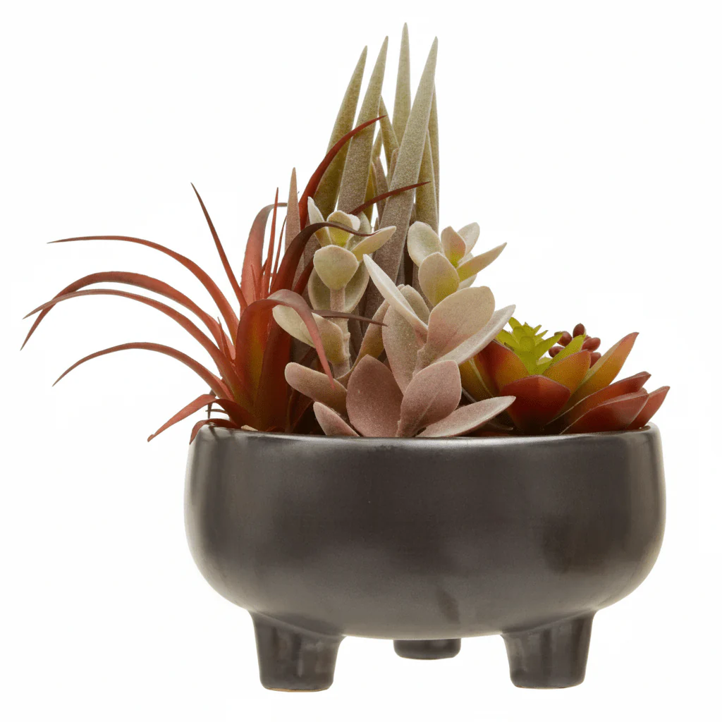 Fiori Mixed Succulents In Grey Ceramic Pot - Image 9