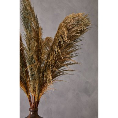 Fiori Pampas Grass Blue Stem - Image 10