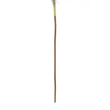 Fiori Pampas Grass Blue Stem - Image 14