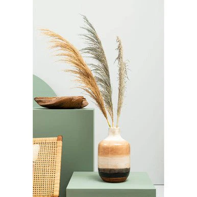 Fiori Pampas Grass Blue Stem - Image 7