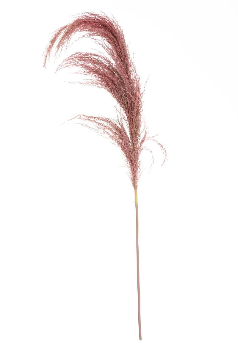 Fiori Pink Stem Pampas Grass - Image 6
