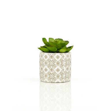 Fiori Set of 3 Succulents in Henna Ceramic Pots - Image 10
