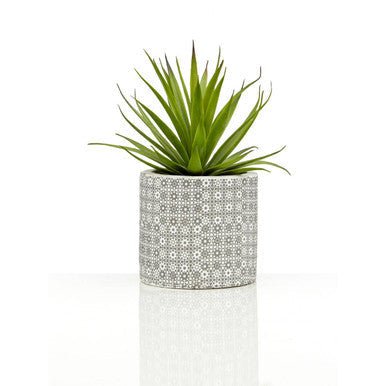 Fiori Set of 3 Succulents in Henna Ceramic Pots - Image 11