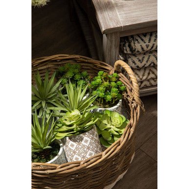 Fiori Set of 3 Succulents in Henna Ceramic Pots - Image 13
