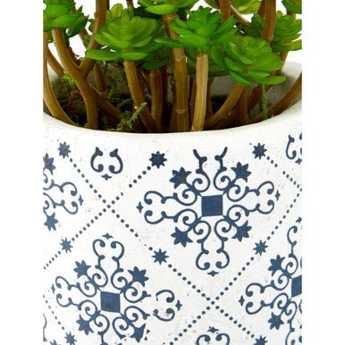 Fiori Set of 3 Succulents in Henna Ceramic Pots - Image 14