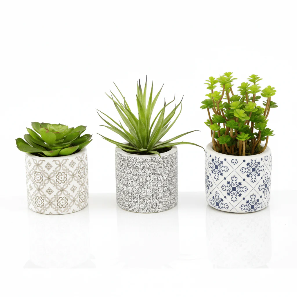 Fiori Set of 3 Succulents in Henna Ceramic Pots - Image 17
