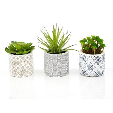 Fiori Set of 3 Succulents in Henna Ceramic Pots - Image 8