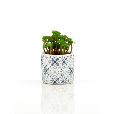 Fiori Set of 3 Succulents in Henna Ceramic Pots - Image 9