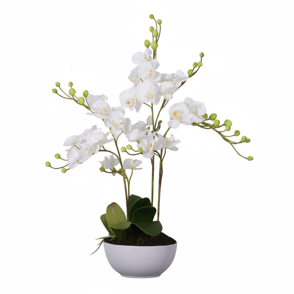 Fiori White Orchid Plant With White Pot - Image 3