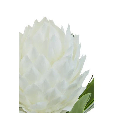 Fiori White Tropical Plant - Image 11
