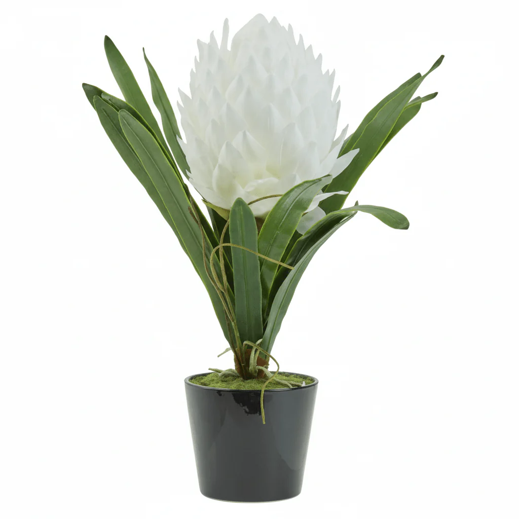 Fiori White Tropical Plant - Image 14