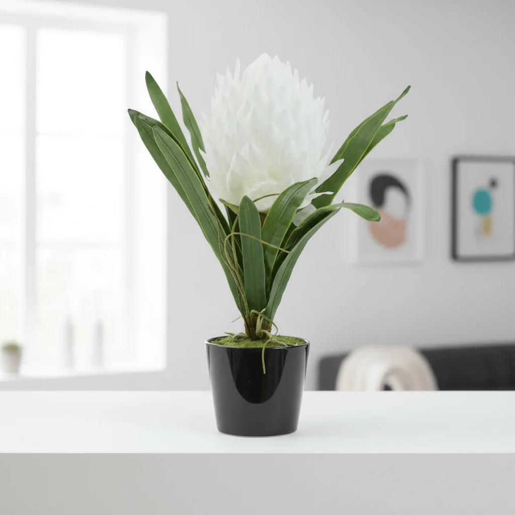 Fiori White Tropical Plant - Image 5
