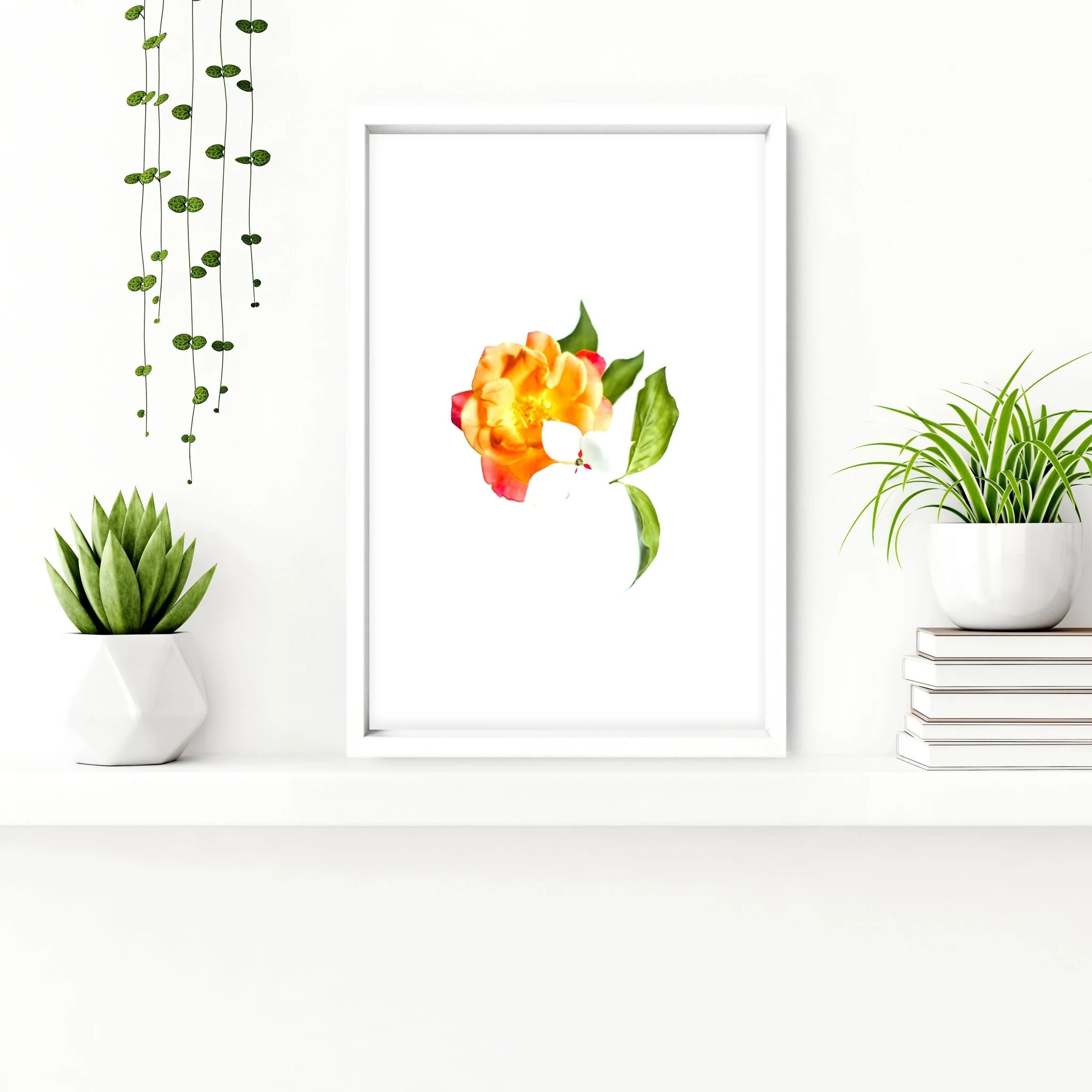 Framed wall art for Bathrooms | set of 3 wall art prints - Image 5