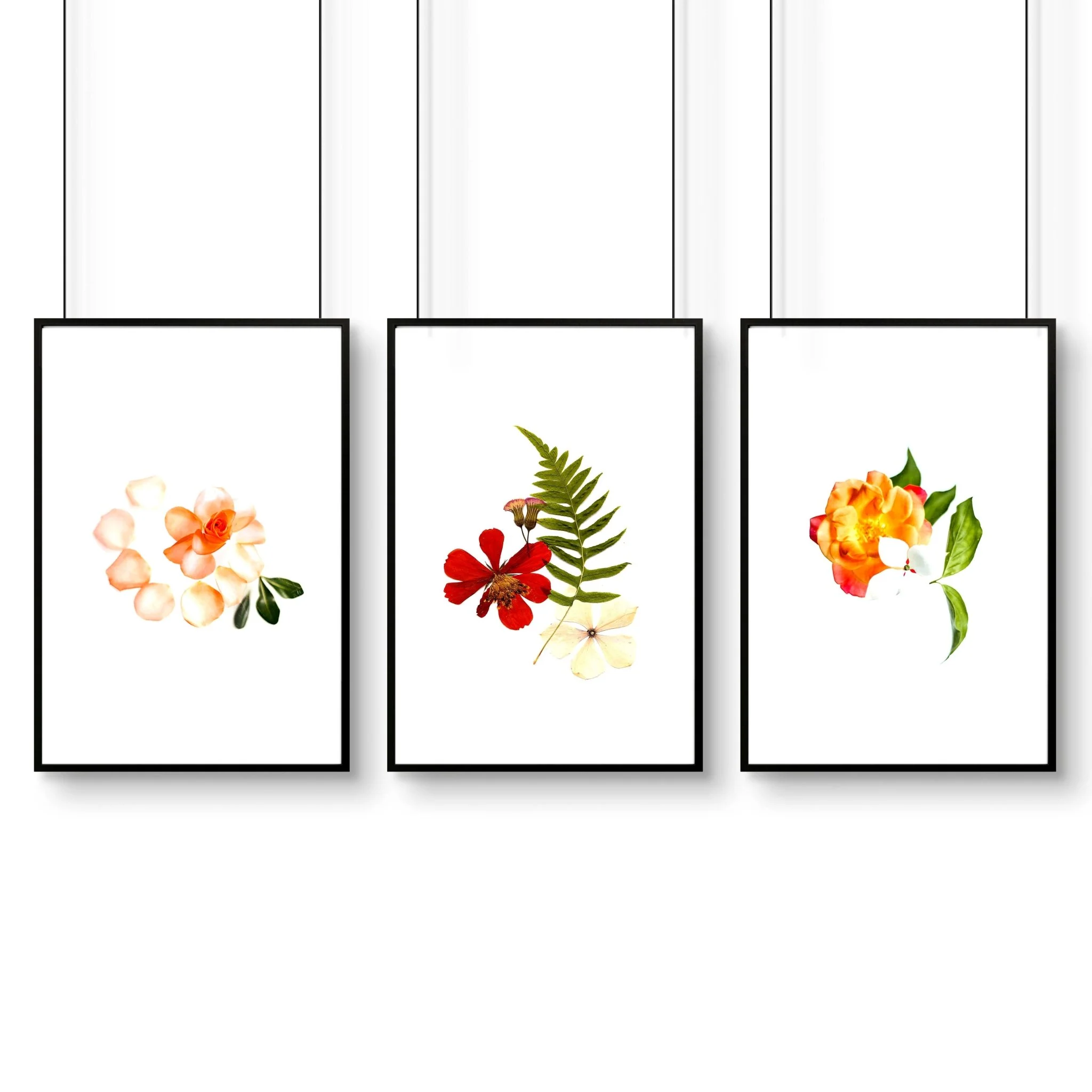 Framed wall art for Bathrooms | set of 3 wall art prints - Image 8