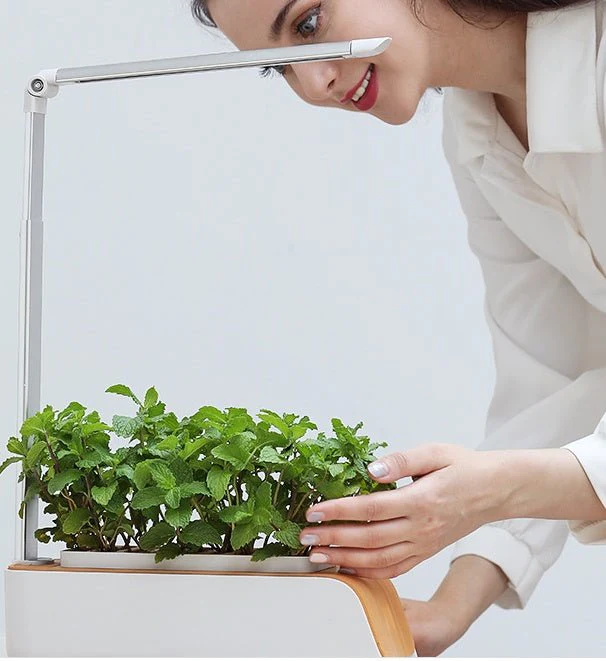 Hydroponic Container Flower Pot Garden Patio ABS It Is Not Easy To Deform Ventilation Storage Container Vegetable Spring - Image 7