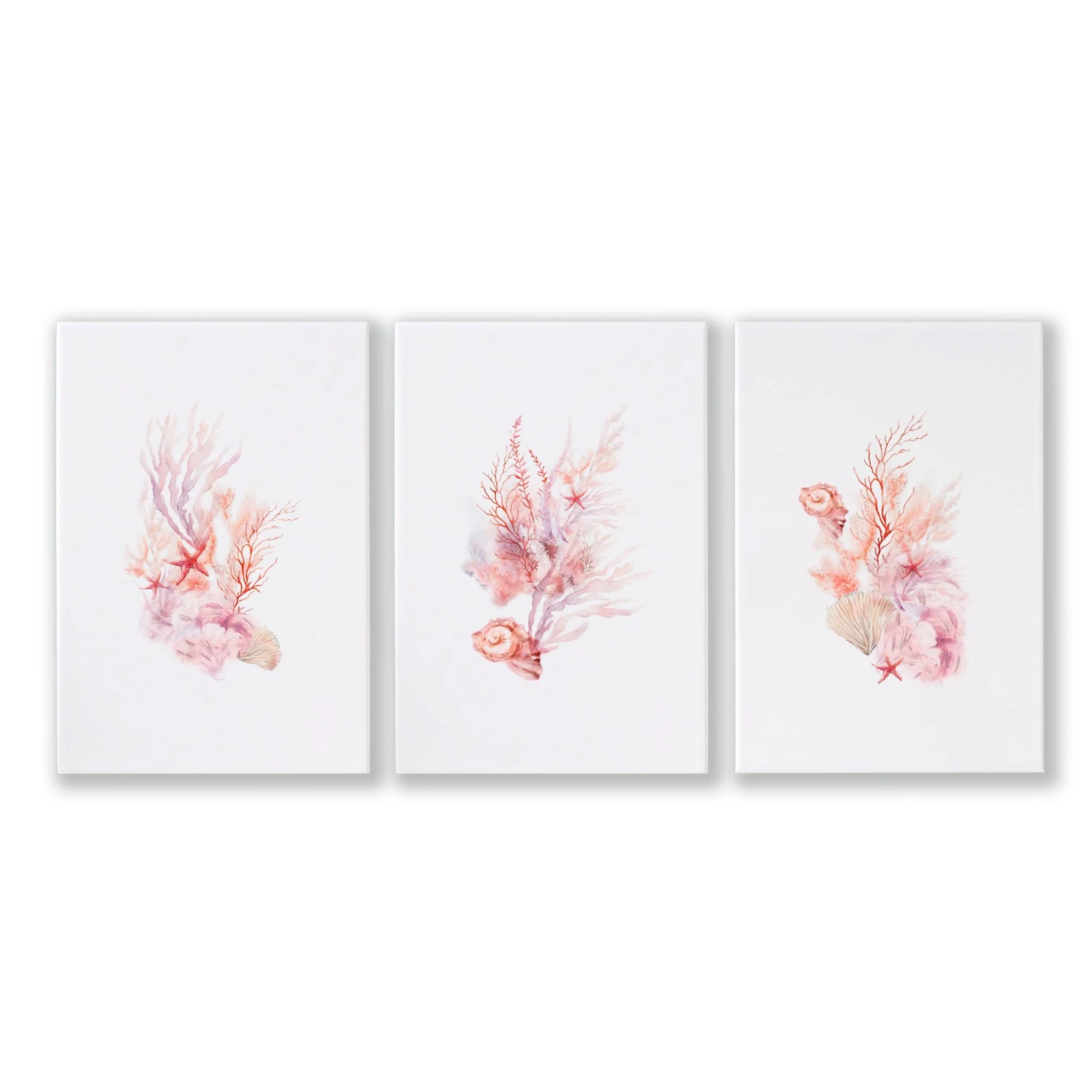 Large Coastal Wall Art | Set of 3 Seashells Wall art Prints - Image 13