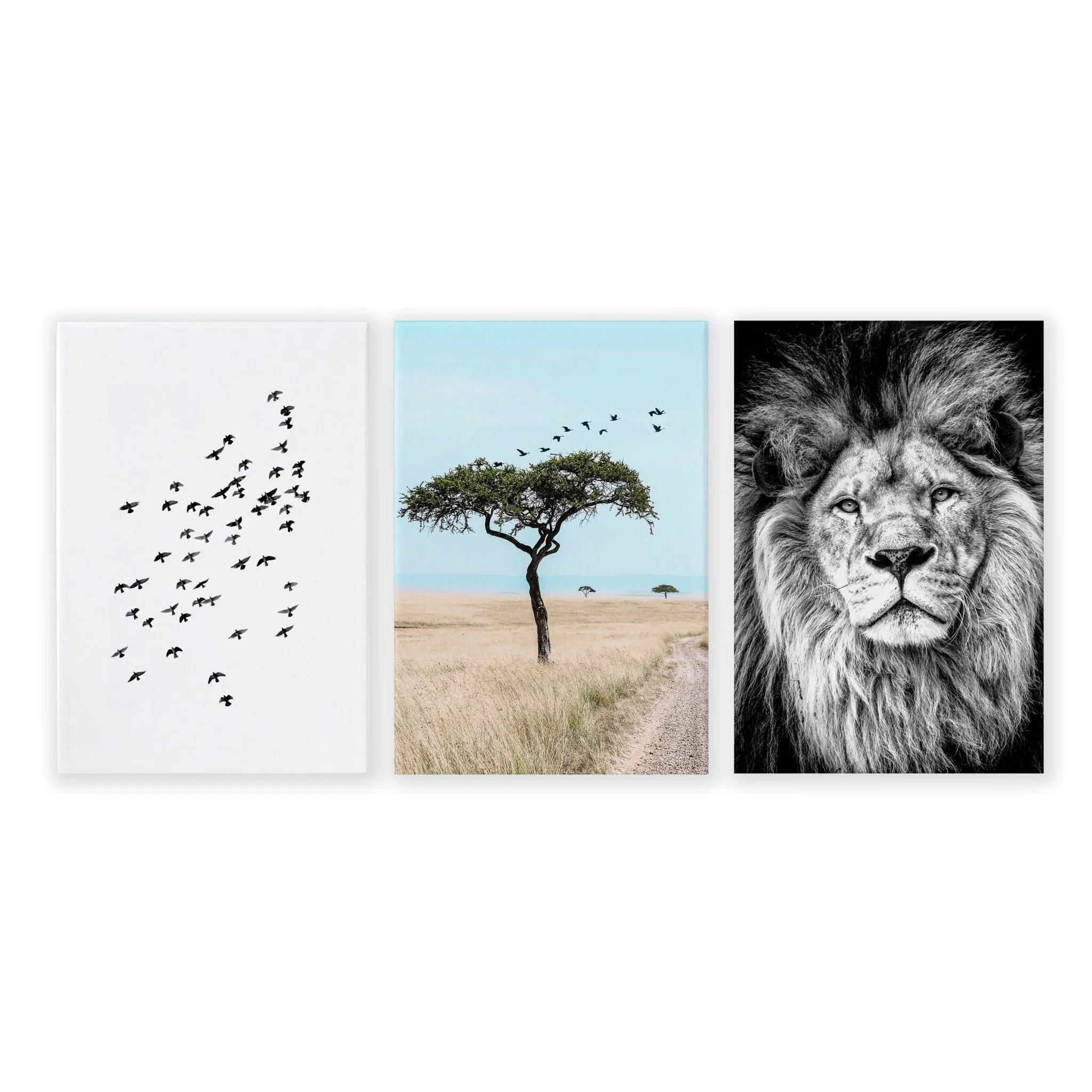 Living Room Wall Art Canvas | Set of 3 African Wildlife Wall art Prints - Image 16