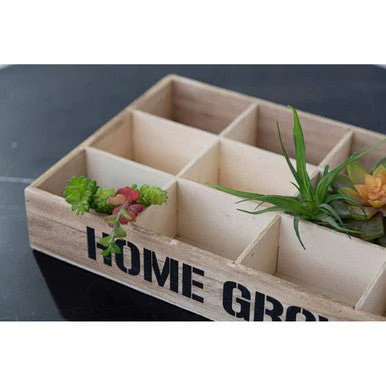 Naresso 12 Compartments Herbs Seed Crate - Image 6