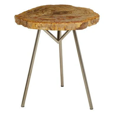 Relic Large Petrified Wood Side Table - Image 6