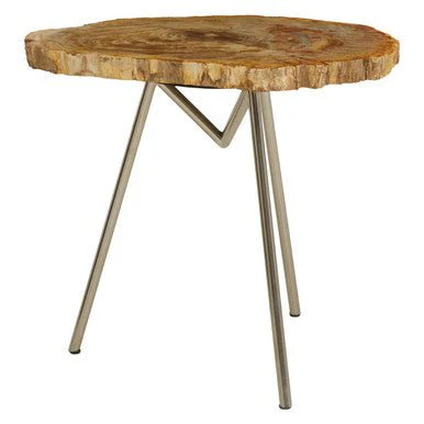 Relic Large Petrified Wood Side Table - Image 7