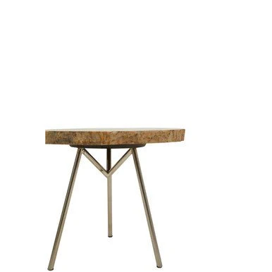 Relic Medium Petrified Wood Side Table - Image 10