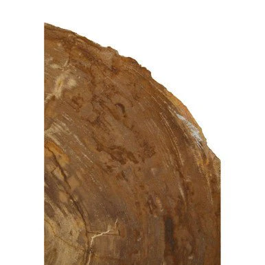 Relic Medium Petrified Wood Side Table - Image 11
