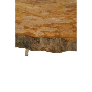 Relic Medium Petrified Wood Side Table - Image 12