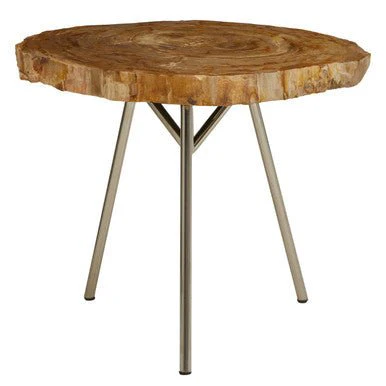 Relic Medium Petrified Wood Side Table - Image 13