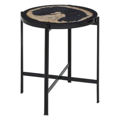 Relic Petrified Wood and Resin Side Table - Image 10