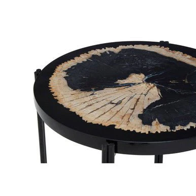 Relic Petrified Wood and Resin Side Table - Image 6