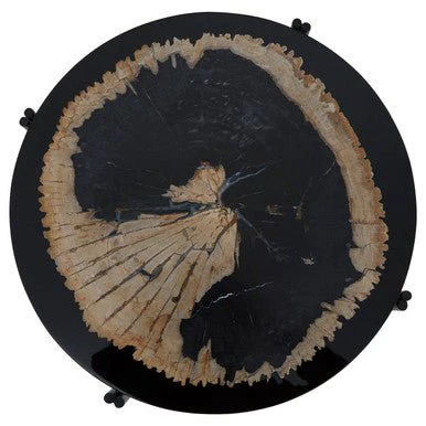 Relic Petrified Wood and Resin Side Table - Image 7